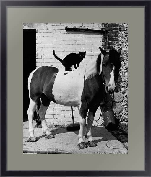Постер История в черно-белых фото 998 с типом исполнения Под стеклом в багетной раме 221-01