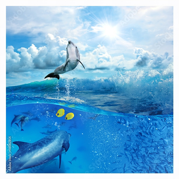 Постер Стая игривых дельфинов, плавающих под водой с типом исполнения На холсте в раме в багетной раме 221-03
