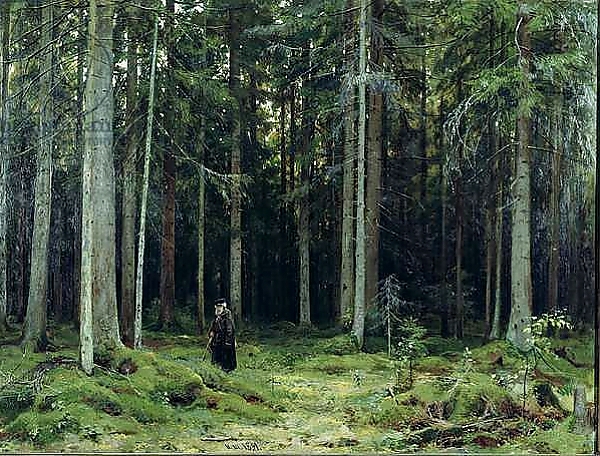 Постер Countess Mordvinov's Forest, 1891 с типом исполнения На холсте без рамы