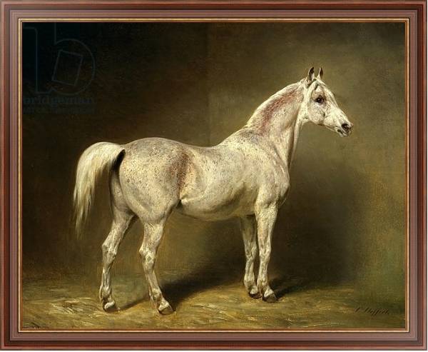 Постер 'Beatrice', the white arab saddlehorse of Helmuth Graf von Moltke, 1855 с типом исполнения На холсте в раме в багетной раме 35-M719P-83