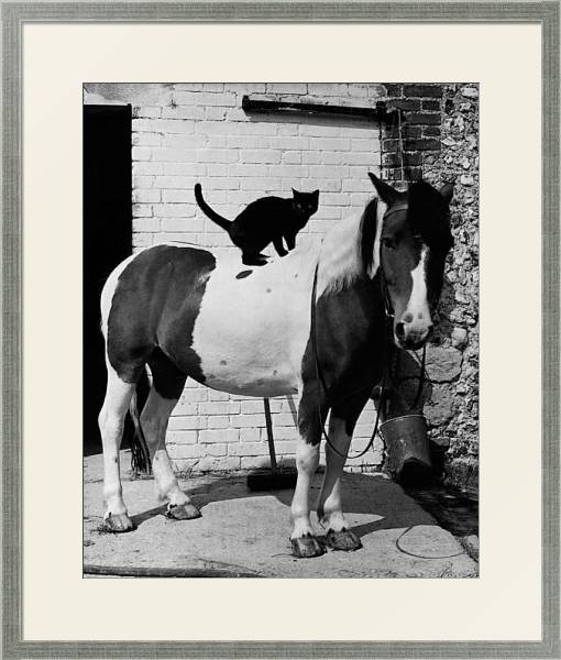 Постер История в черно-белых фото 998 с типом исполнения Под стеклом в багетной раме 1727.2510