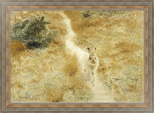 Постер A Winter-Hare in a Landscape, 1909 с типом исполнения На холсте в раме в багетной раме 484.M48.310