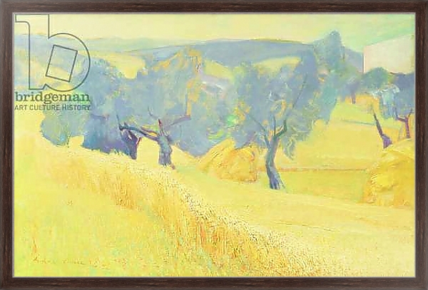 Постер Olive Trees in Tuscany, 1966 с типом исполнения На холсте в раме в багетной раме 221-02