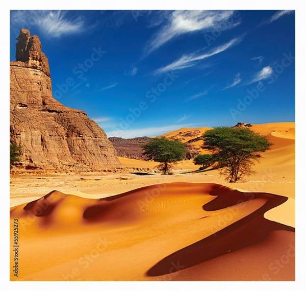 Постер Пустыня Сахара, Алжир с типом исполнения На холсте в раме в багетной раме 221-03