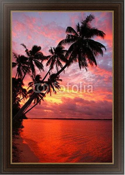 Постер Силуэт пальмовых деревьев на пляже на закате, острова Офу, Тонга с типом исполнения На холсте в раме в багетной раме 1.023.151