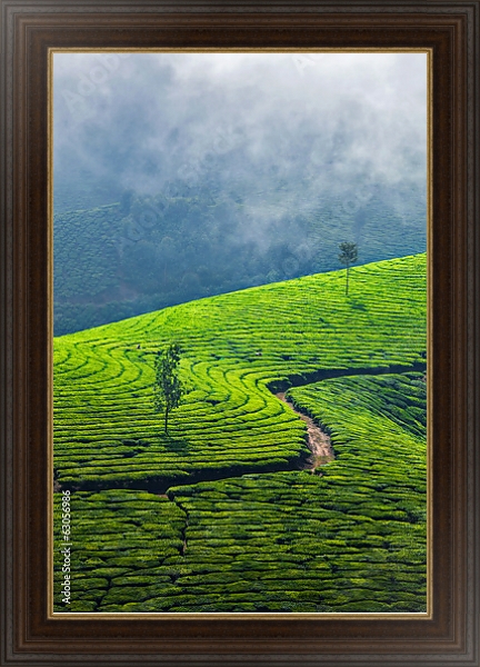 Постер  Зеленые чайные плантации, Муннар, Керала, Индия с типом исполнения На холсте в раме в багетной раме 1.023.151
