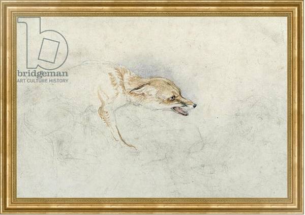 Постер Study of a crouching Fox, facing right verso: faint sketch of fox's head and tail с типом исполнения На холсте в раме в багетной раме NA033.1.051