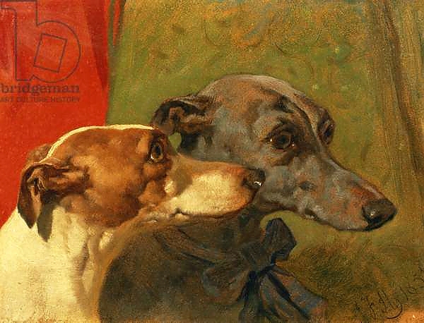 Постер The Greyhounds 'Charley' and 'Jimmy' in an Interior с типом исполнения На холсте без рамы