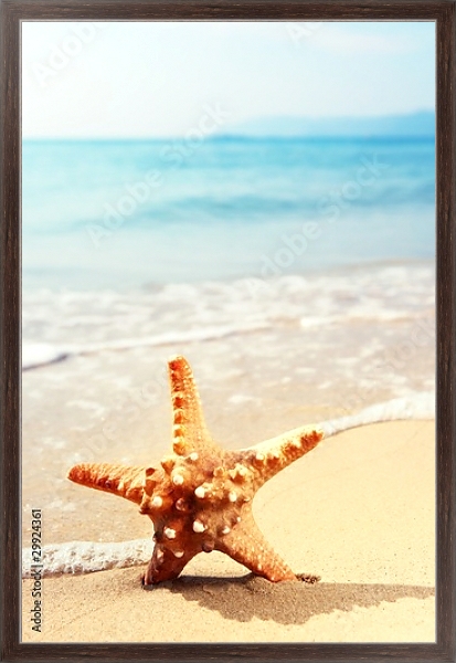 Постер Морская звезда на морском пляже с типом исполнения На холсте в раме в багетной раме 221-02