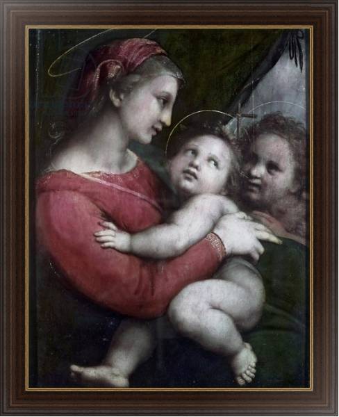Постер Madonna della Tenda, c.1512 с типом исполнения На холсте в раме в багетной раме 1.023.151