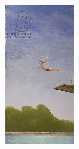 Постер High Diver с типом исполнения На холсте в раме в багетной раме 221-03