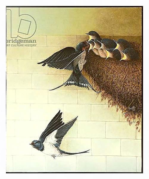 Постер Hungry Mouths, 2011 с типом исполнения На холсте в раме в багетной раме 221-03