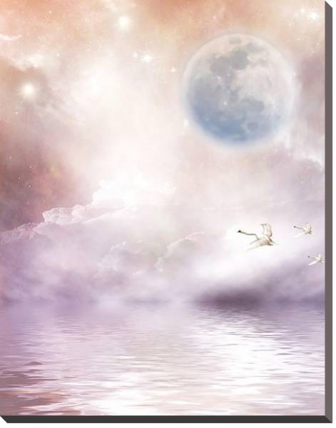 Постер Лебеди между водой и луной с типом исполнения На холсте без рамы