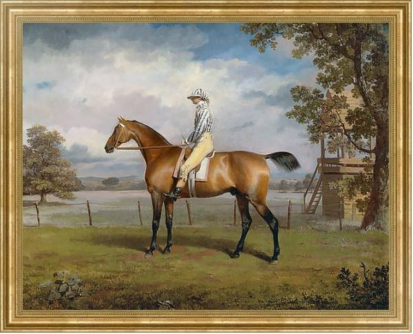 Постер Portrait of a Racehorse Possibly Disguise with Jockey Up с типом исполнения На холсте в раме в багетной раме NA033.1.051
