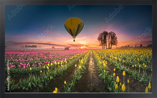 Постер Воздушные шары, парящие над полем тюльпанов с типом исполнения На холсте в раме в багетной раме 1727.8010
