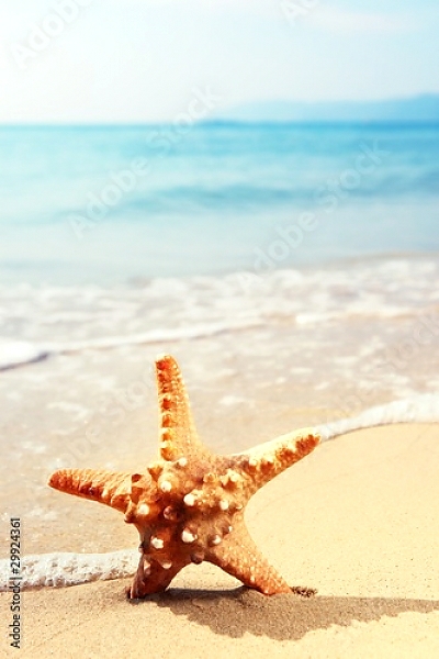 Постер Морская звезда на морском пляже с типом исполнения На холсте без рамы