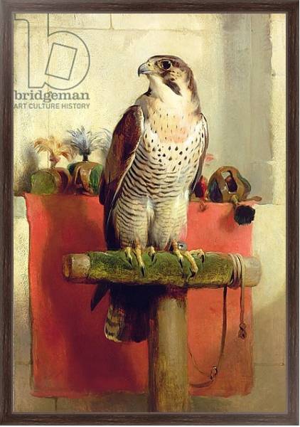 Постер Falcon, 1837 с типом исполнения На холсте в раме в багетной раме 221-02
