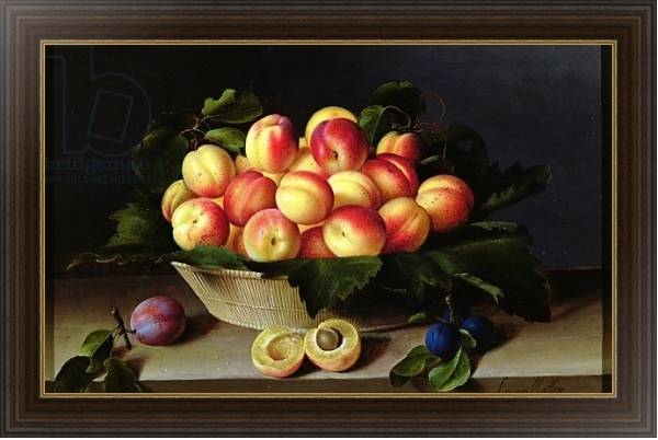 Постер Basket of Apricots, 1634 с типом исполнения На холсте в раме в багетной раме 1.023.151