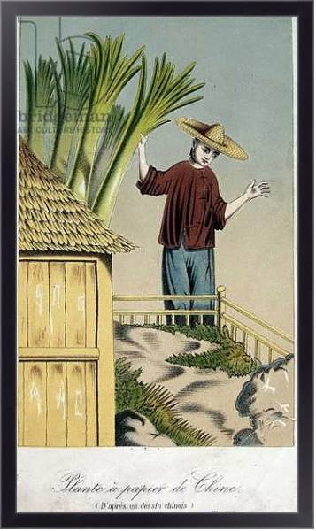 Постер Plante a Papier de Chine с типом исполнения На холсте в раме в багетной раме 221-01