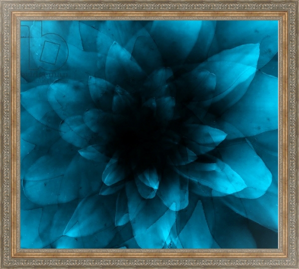Постер flower blue с типом исполнения На холсте в раме в багетной раме 484.M48.310