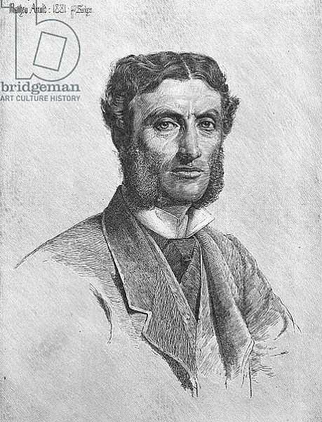 Постер Matthew Arnold, 1881 с типом исполнения На холсте без рамы