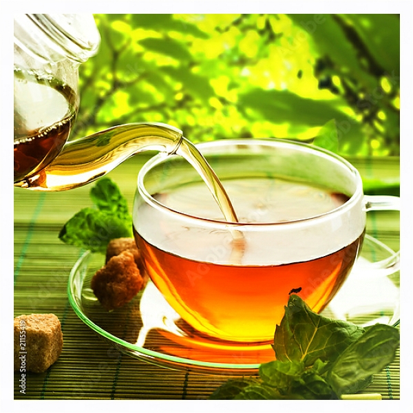 Постер Чайник травяного чая с типом исполнения На холсте в раме в багетной раме 221-03