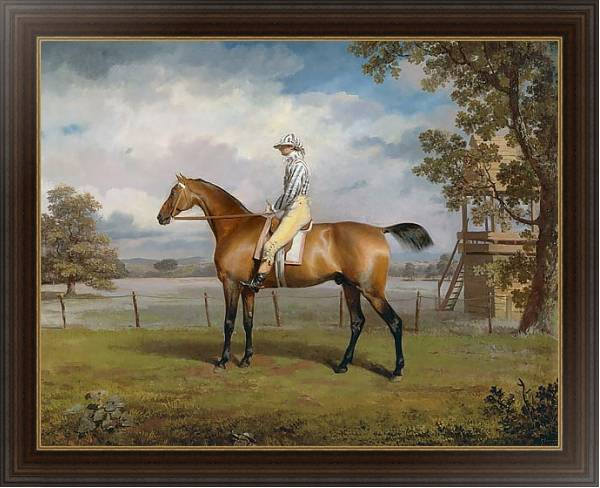 Постер Portrait of a Racehorse Possibly Disguise with Jockey Up с типом исполнения На холсте в раме в багетной раме 1.023.151