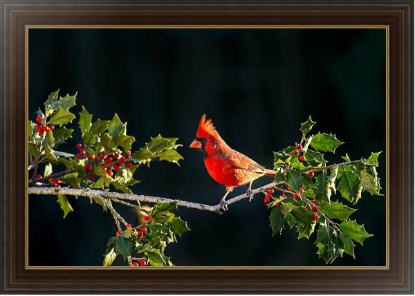 Постер Красная птица на ветке я красными ягодами с типом исполнения На холсте в раме в багетной раме 1.023.151