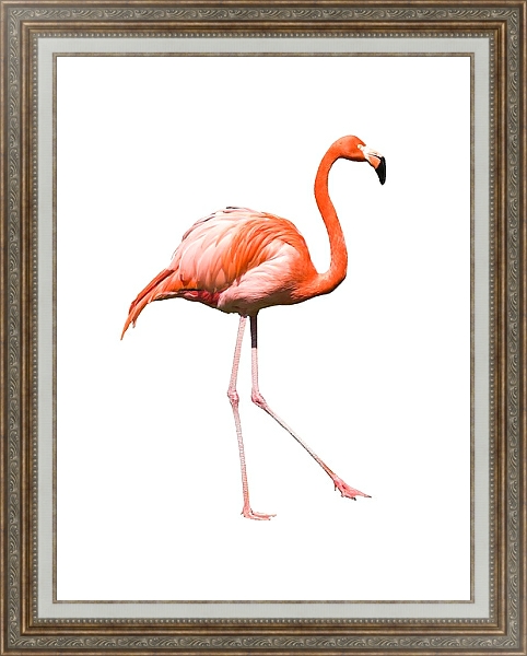 Постер Розовый фламинго на белом фоне с типом исполнения На холсте в раме в багетной раме 595.M52.330