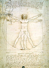 Постер Леонардо да Винчи (Leonardo da Vinci) The Proportions of the human figure, c.1492 Постер Леонардо да Винчи (Leonardo da Vinci) The Proportions of the human figure, c.1492