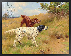 Постер Блинк Томас Setters, 2001 Постер Блинк Томас Setters, 2001