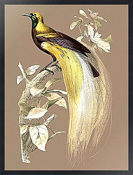 Постер Большая райская птица на бежевом фоне