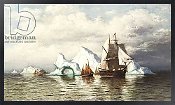 Постер Брэдфорд Уильям Among the Icebergs, Coast in Labrador,
