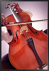 Виолончелист