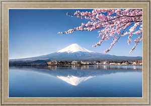 Постер Япония. Гора Фуджи с цветущими ветками