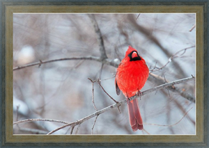 Постер в раме 