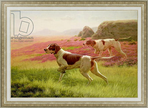 Картина в раме Pointers in a Landscape, 19th century