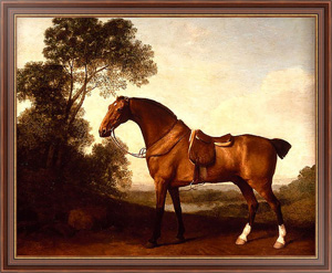Картина в раме A Saddled Bay Hunter