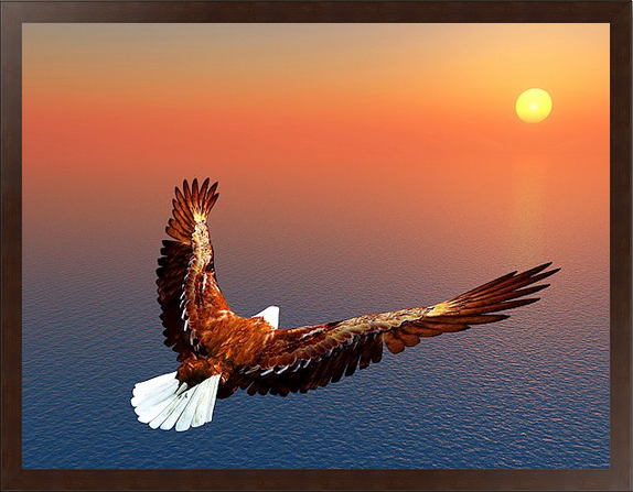 Орел над морем в коричневой раме на холсте