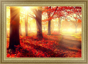Постер в раме Осенний лес с ярким солнцем