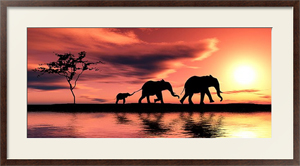 Постер под стеклом Семья слонов