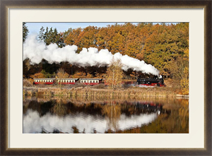 Постер под стеклом Сеть узкоколейных железных дорог в Гарце осенью, Германия
