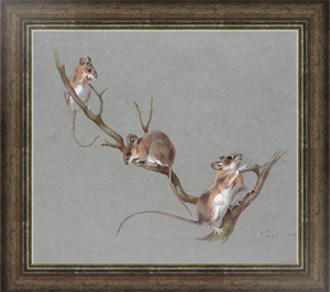 Постер-гравюра Three field mice