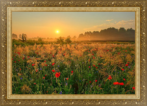 Постер в раме Закат над полем с маками